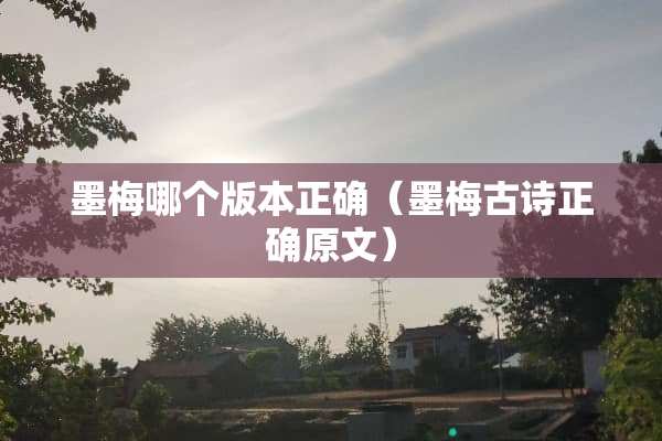 墨梅哪个版本正确（墨梅古诗正确原文）