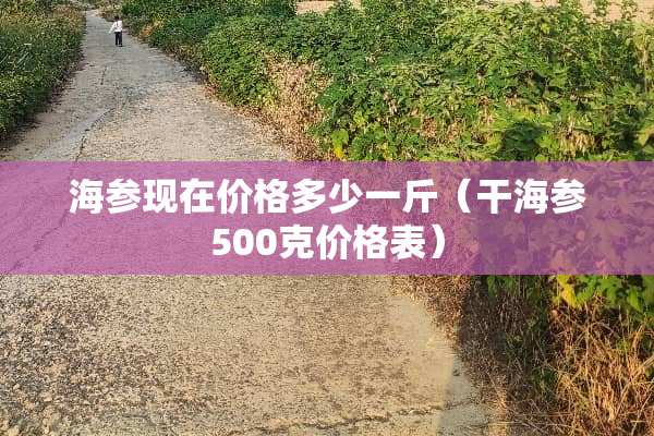 海参现在价格多少一斤（干海参500克价格表）