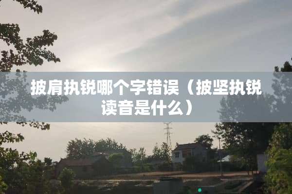 披肩执锐哪个字错误（披坚执锐读音是什么）