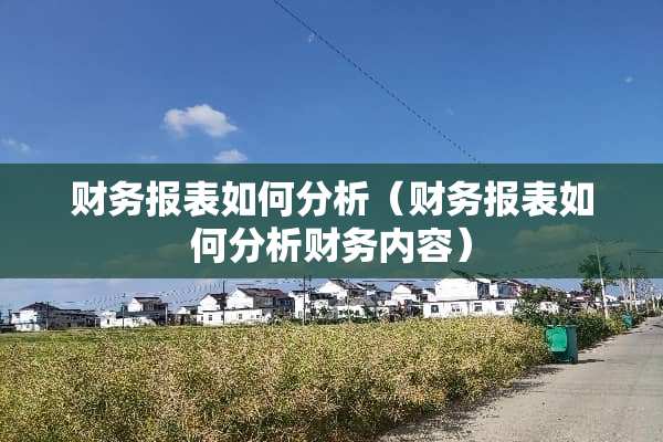 财务报表如何分析（财务报表如何分析财务内容）