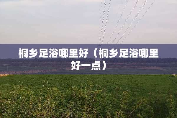 桐乡**哪里好（桐乡**哪里好一点）
