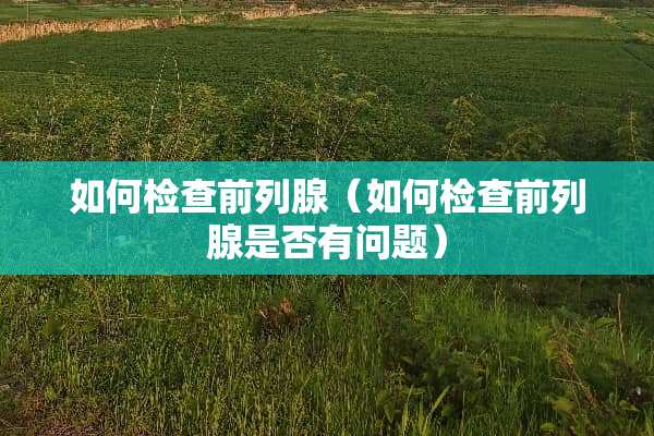 如何检查前列腺（如何检查前列腺是否有问题）