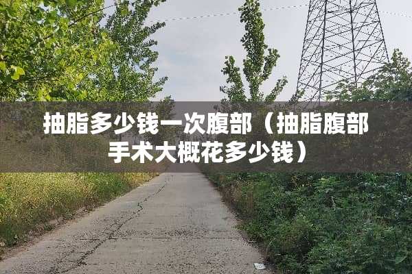 抽脂多少钱一次腹部（抽脂腹部手术大概花多少钱）