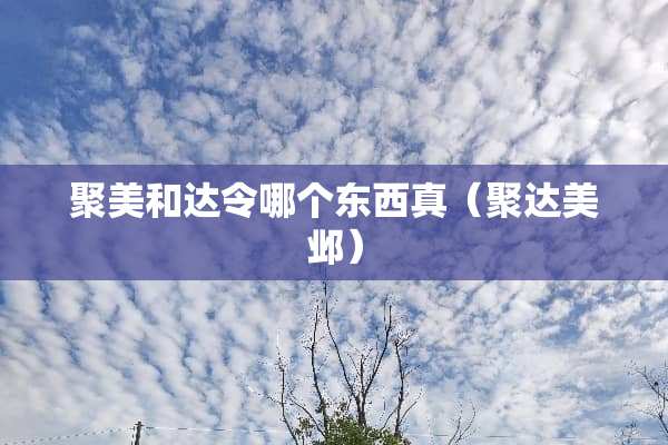 聚美和达令哪个东西真（聚达美邺）