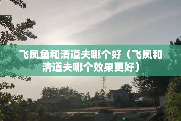 飞凤鱼和清道夫哪个好（飞凤和清道夫哪个效果更好）