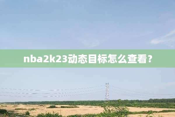 nba2k23动态目标怎么查看？