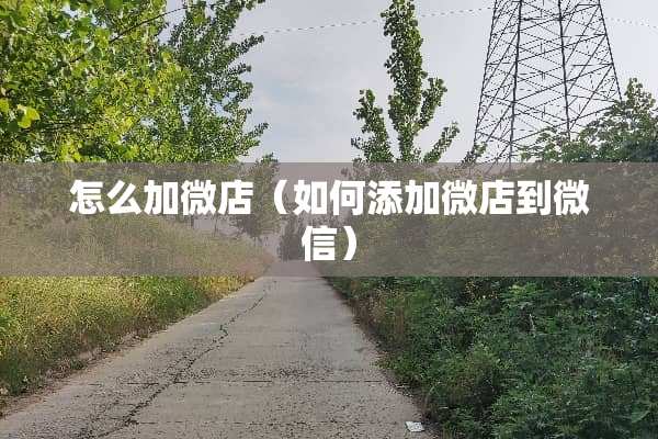 怎么加微店（如何添加微店到微信）