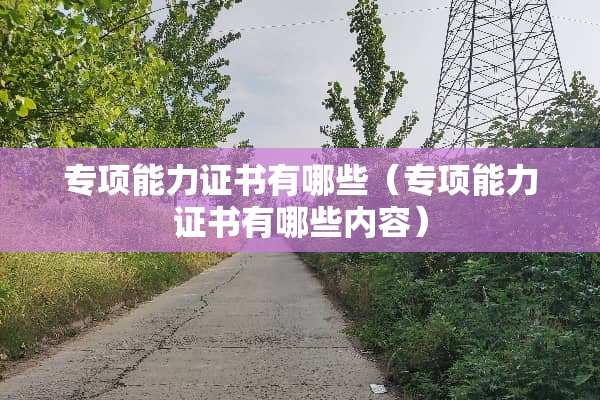 专项能力证书有哪些（专项能力证书有哪些内容）