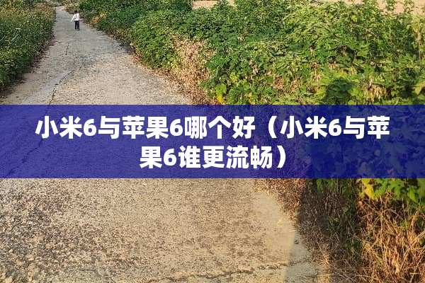小米6与苹果6哪个好（小米6与苹果6谁更流畅）