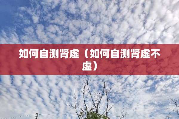 如何自测肾虚（如何自测肾虚不虚）