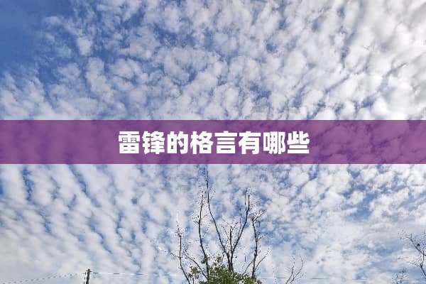 雷锋的格言有哪些