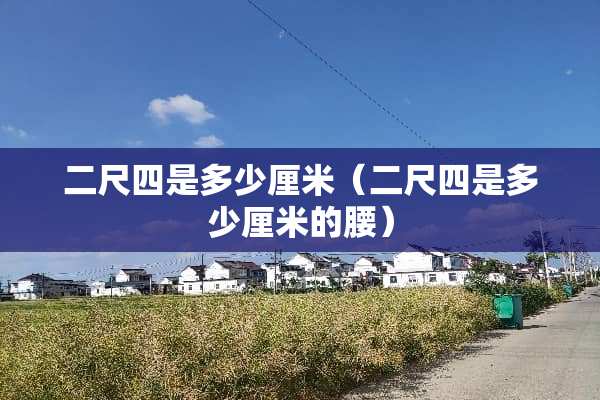 二尺四是多少厘米（二尺四是多少厘米的腰）