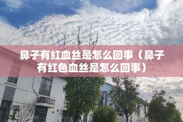 鼻子有***是怎么回事（鼻子有红色血丝是怎么回事）