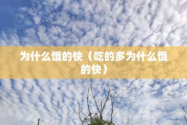 为什么饿的快（吃的多为什么饿的快）