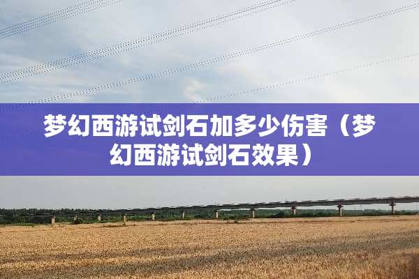 梦幻西游试剑石加多少伤害（梦幻西游试剑石效果）