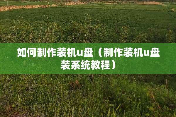 如何制作装机u盘（制作装机u盘装系统教程）