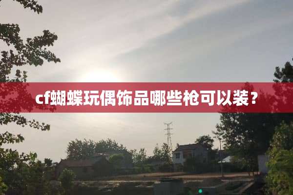 cf蝴蝶**饰品哪些*可以装？