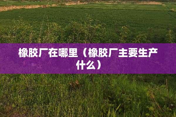 橡胶厂在哪里（橡胶厂主要生产什么）