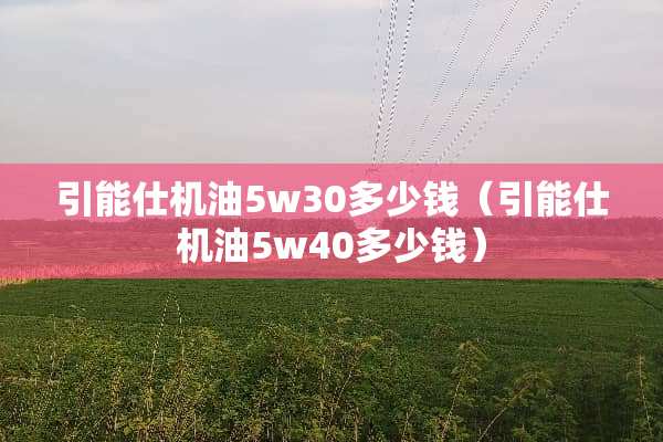 引能仕机油5w30多少钱（引能仕机油5w40多少钱）