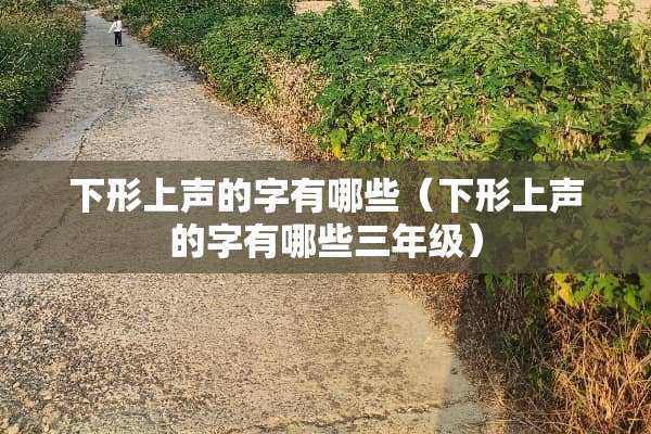 下形上声的字有哪些（下形上声的字有哪些三年级）