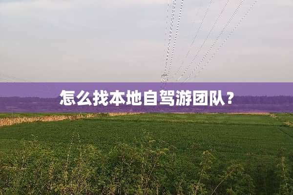 怎么找本地自驾游团队？