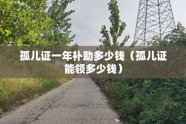 孤儿证一年补助多少钱（孤儿证能领多少钱）