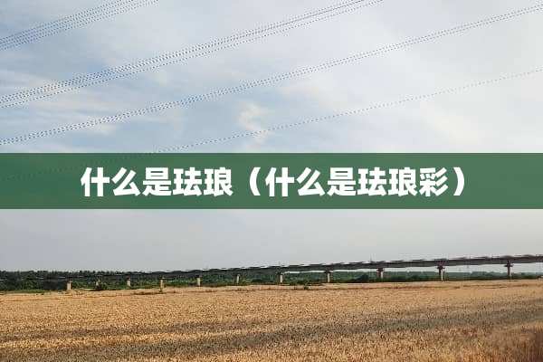 什么是珐琅（什么是珐琅彩）