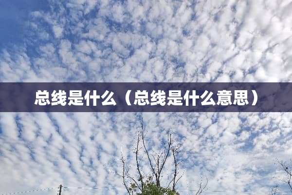 总线是什么（总线是什么意思）