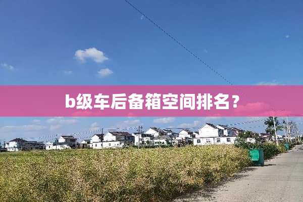 b级车后备箱空间排名？