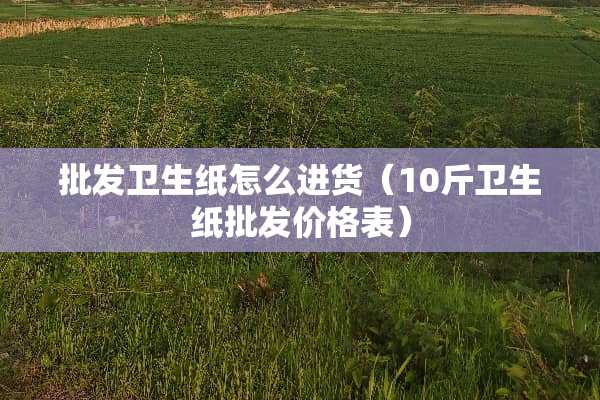 批发卫生纸怎么进货（10斤卫生纸批发价格表）