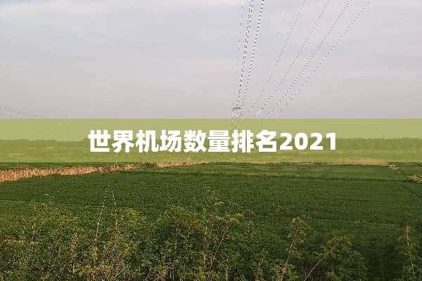 世界机场数量排名2021