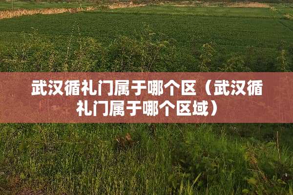 武汉循礼门属于哪个区（武汉循礼门属于哪个区域）