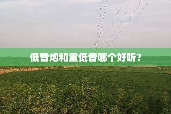 低音*和重低音哪个好听？