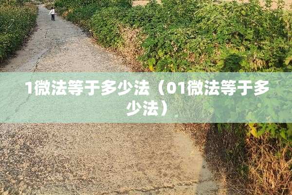 1微法等于多少法（01微法等于多少法）