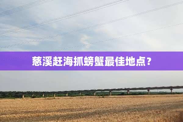 慈溪赶海抓螃蟹最佳地点？