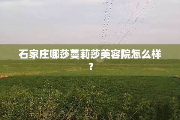 石家庄哪莎蔓莉莎美容院怎么样？