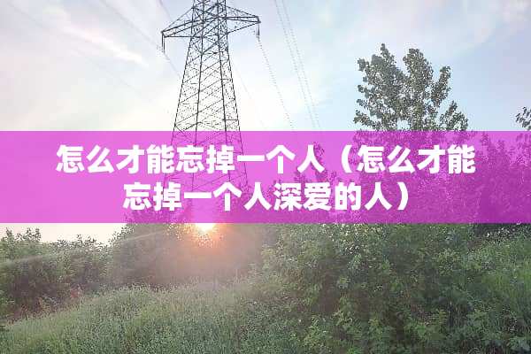 怎么才能忘掉一个人（怎么才能忘掉一个人深爱的人）