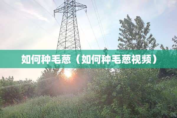 如何种毛葱（如何种毛葱视频）