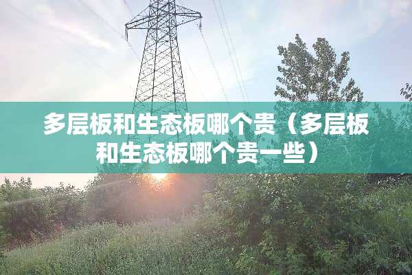 多层板和生态板哪个贵（多层板和生态板哪个贵一些）