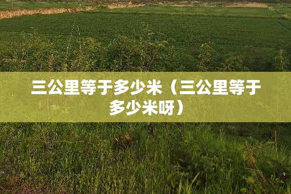三公里等于多少米（三公里等于多少米呀）
