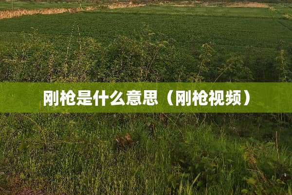 刚*是什么意思（刚*视频）