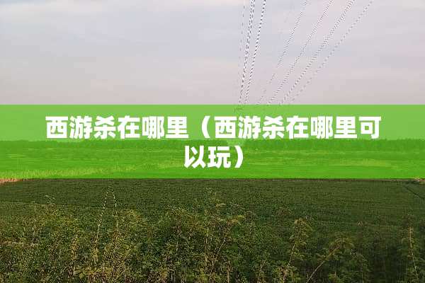 西游杀在哪里（西游杀在哪里可以玩）