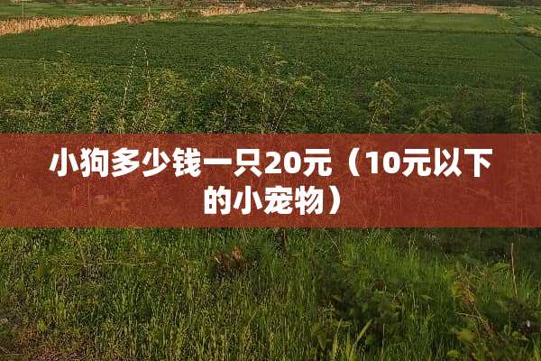 小狗多少钱一只20元（10元以下的小宠物）