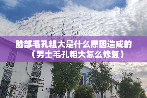 脸部毛孔粗大是什么原因造成的（男士毛孔粗大怎么修复）