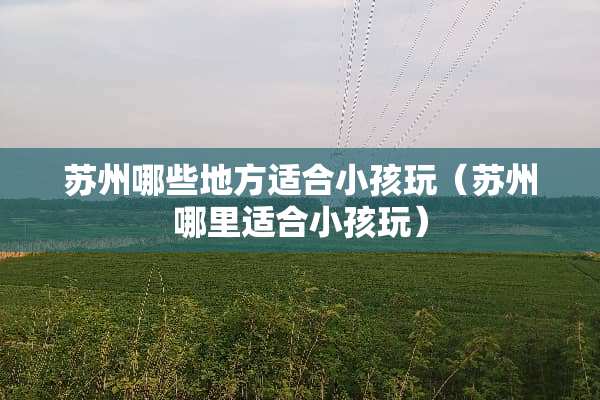苏州哪些地方适合小孩玩（苏州哪里适合小孩玩）