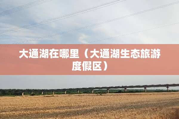 大通湖在哪里（大通湖生态旅游度假区）