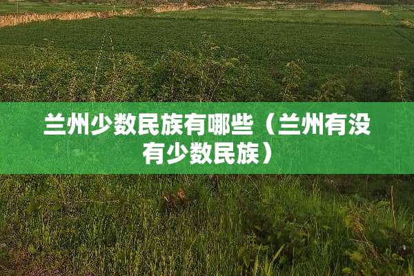 兰州少数民族有哪些（兰州有没有少数民族）
