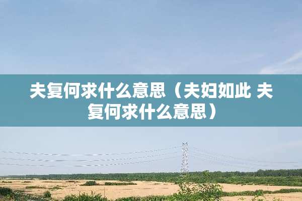 夫复何求什么意思（夫妇如此 夫复何求什么意思）