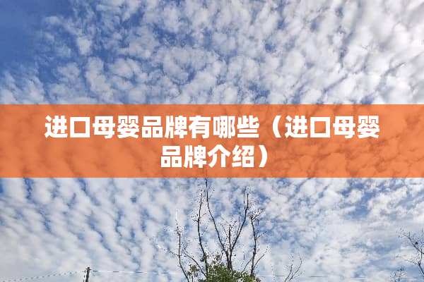 进口母婴品牌有哪些（进口母婴品牌介绍）