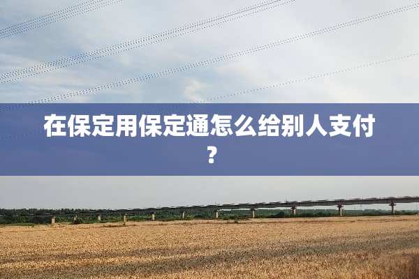 在保定用保定通怎么给别人支付？